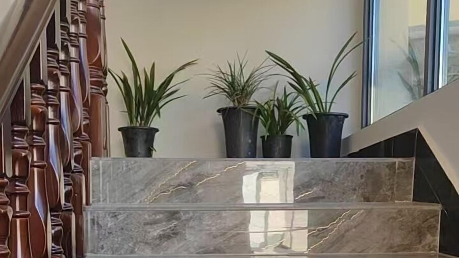 Shangri-La Chenxia Courtyard Homestay