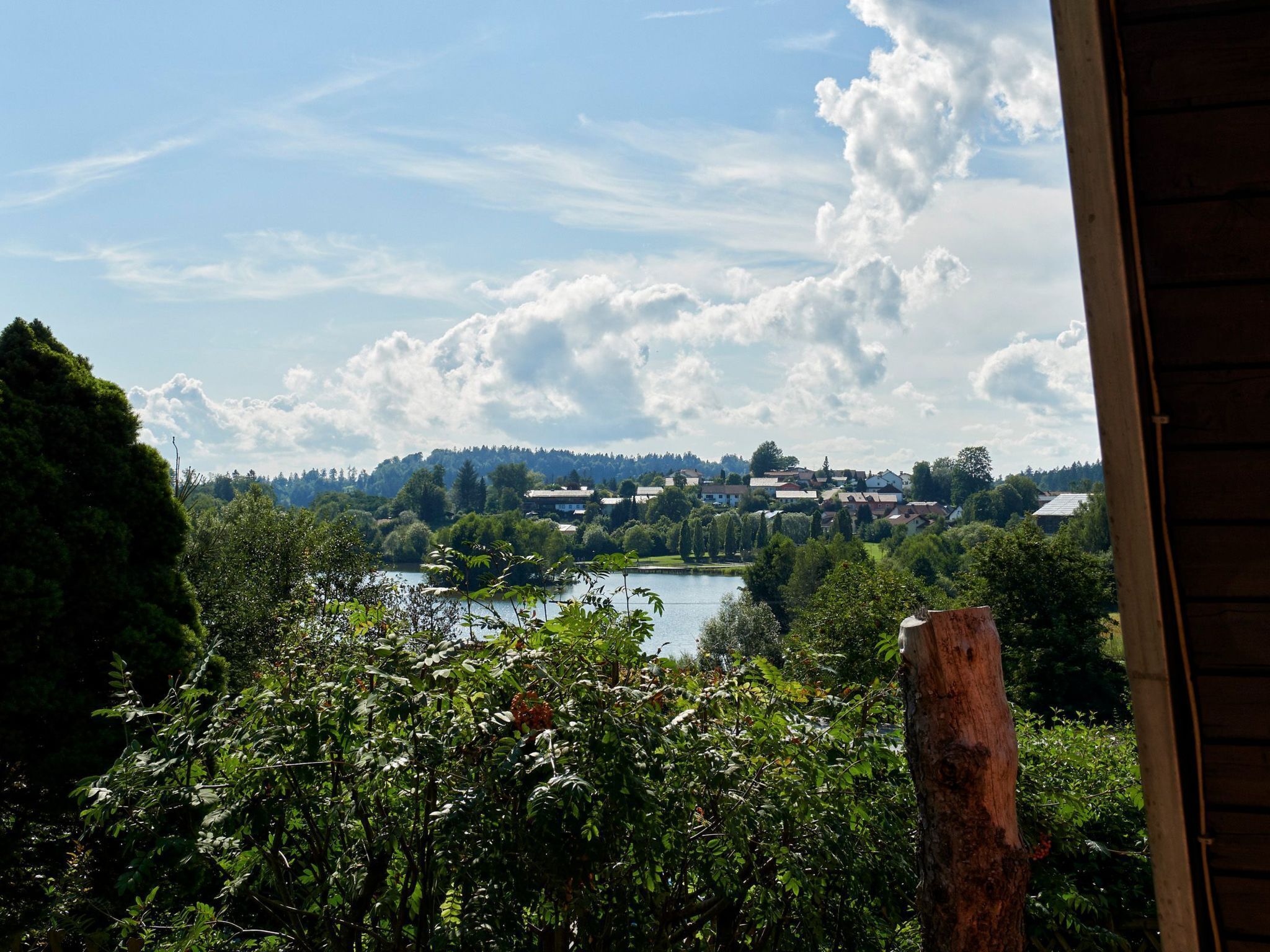 A view of a lake with surrounding greenery and a village in the distance.