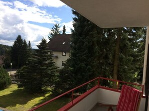 Property grounds - Gemütliche 4-Sterne-Wohnung in Braunlage by Interhome (Braunlage)