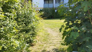 En græssti der fører hen til en bygning med moderne arkitektur, omgivet af frodig vegetation.