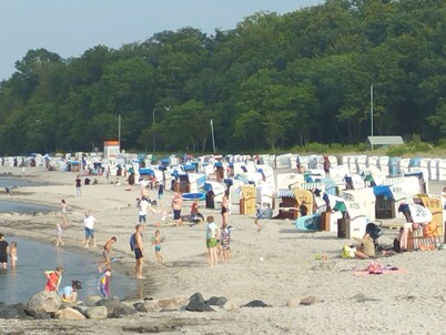 Strandnahe Ferienwohnung mit Gartenterrasse by Interhome