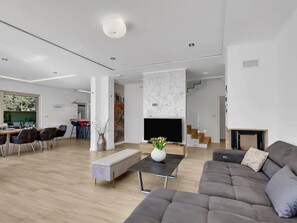 Fernseher, Kamin