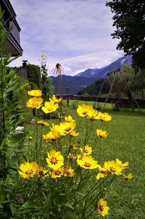 Property grounds - Gsenger Natur in Abtenau by Interhome (Abtenau)