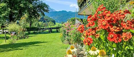 Jardines del alojamiento