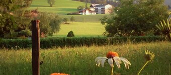 Gsenger Natur in Abtenau by Interhome