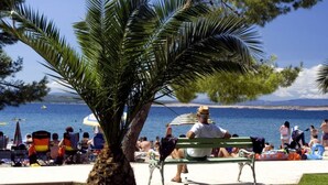 Ein Park direkt am Strand mit einer Palme, einer Bank und Menschen, die am Wasser entspannen.