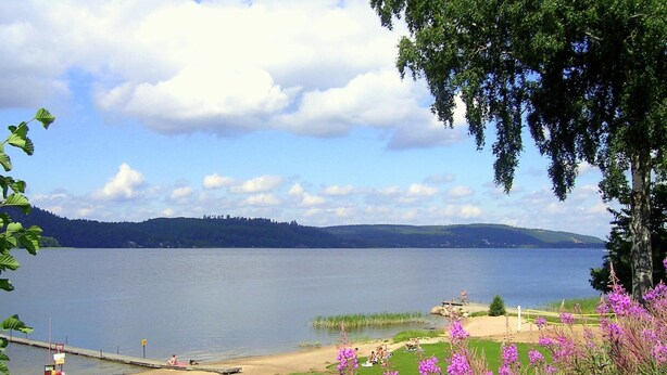 Vista para o lago com uma área gramada, um píer e flores roxas em primeiro plano.