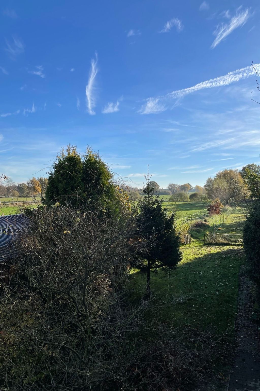 Een landelijk landschap met een heldere lucht, een omheind veld en verschillende bomen.