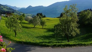 Un paysage rural caractérisé par des collines verdoyantes, un ciel dégagé et des montagnes lointaines.