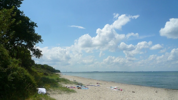Una spiaggia con sabbia, acqua e oggetti sparsi.
