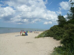 Ranta