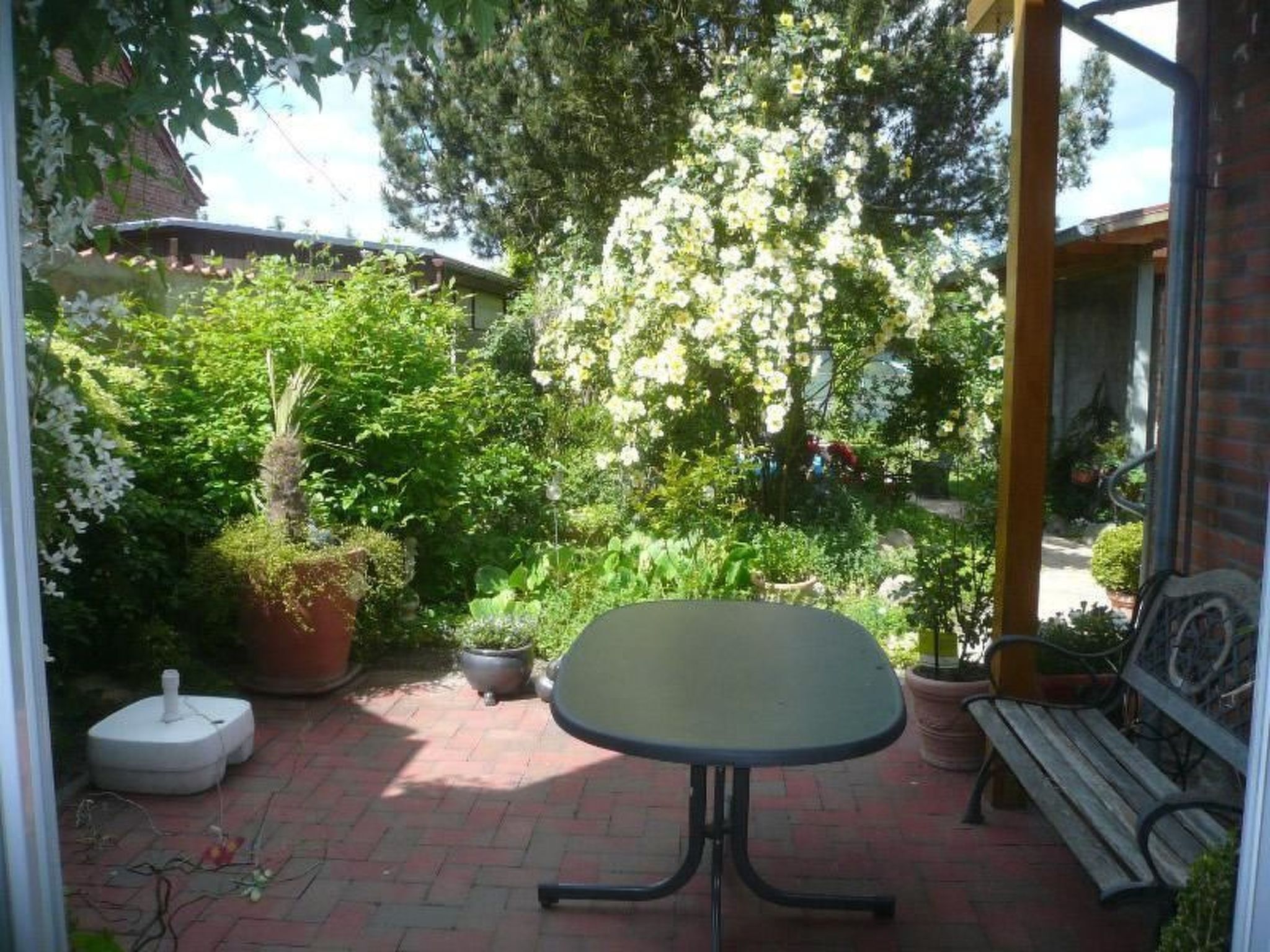 Un espace extérieur aménagé en patio, avec une table et des bancs, entouré de plantes en pot et d’arbres.