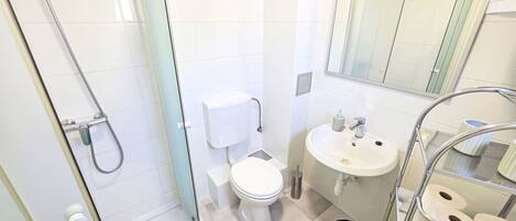 A bathroom with a glass-enclosed shower, a toilet, a sink with a mirror, and a shelf with toilet paper.
