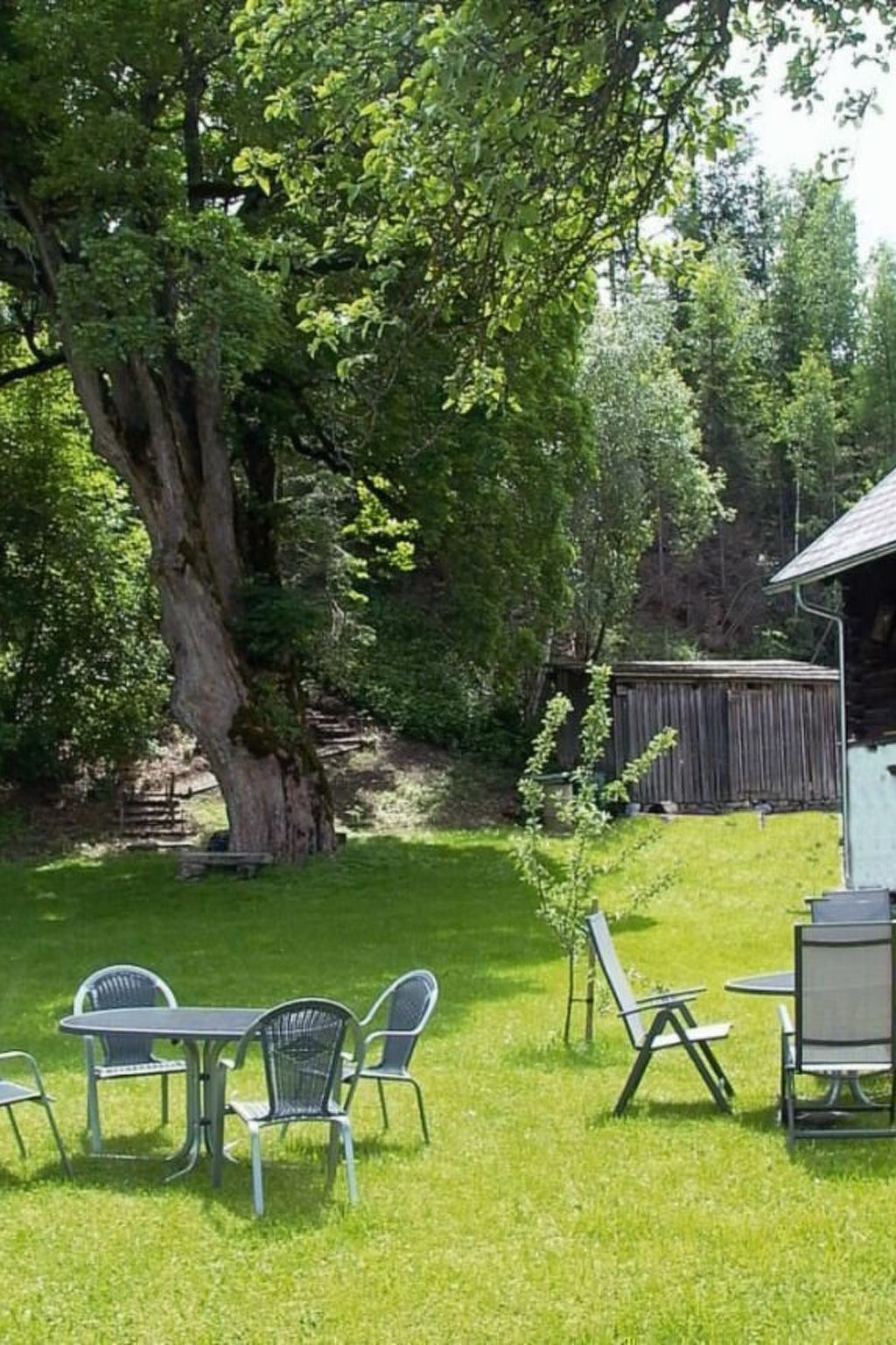 Un jardin avec un grand arbre, une clôture en bois et une table en métal avec des chaises.