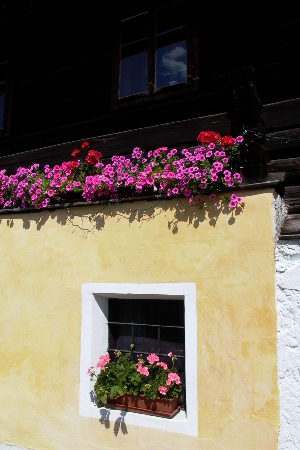 Ein Gebäude mit gelber Fassade, einem Fenster mit weißem Rahmen und einem Blumenkasten mit rosa Blüten.