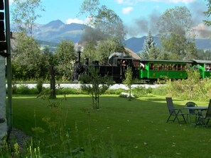 Un train vert transportant des passagers traverse un parc verdoyant, parsemé d’arbres et d’herbe.