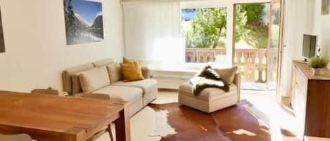 Televisio, DVD-soitin