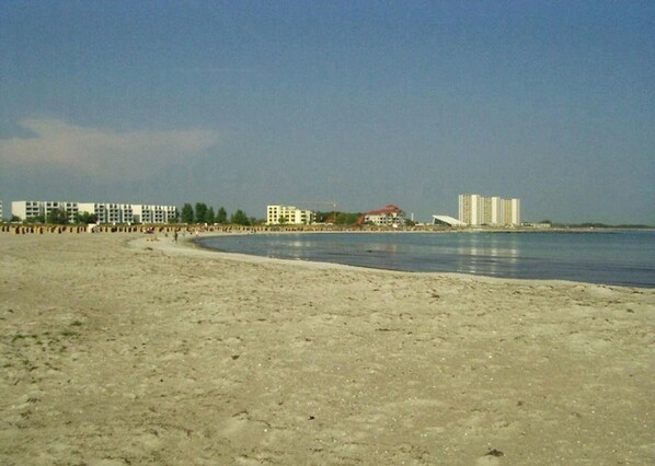 Beach - Silbermöwe by Interhome (Bannesdorf)