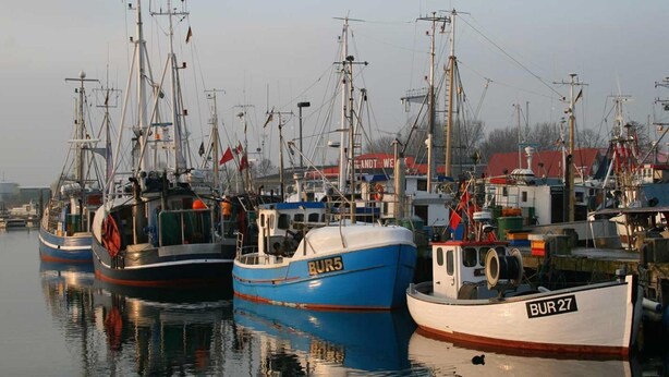 Een jachthaven met verschillende boten afgemeerd, waaronder één met 'BUR 5' en een andere met 'BUR 27' erop.