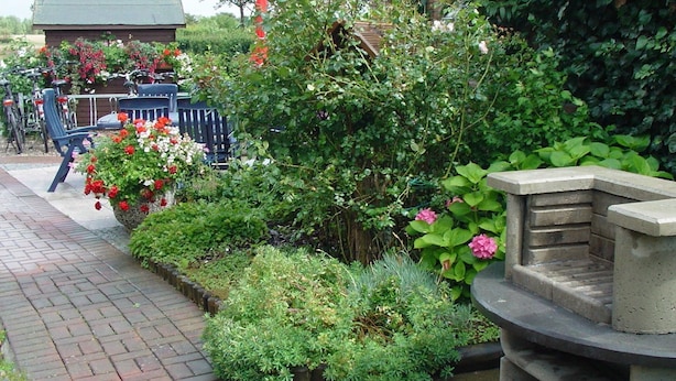 Ein Gartenpfad mit Pflasterweg, Steinbank und verschiedenen Pflanzen und Blumen.