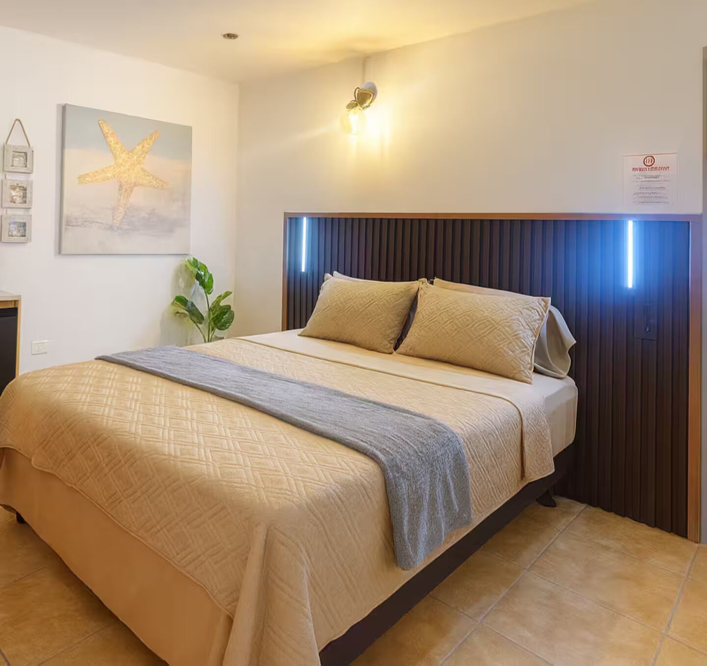 Estudio Confort | Wifi gratis 