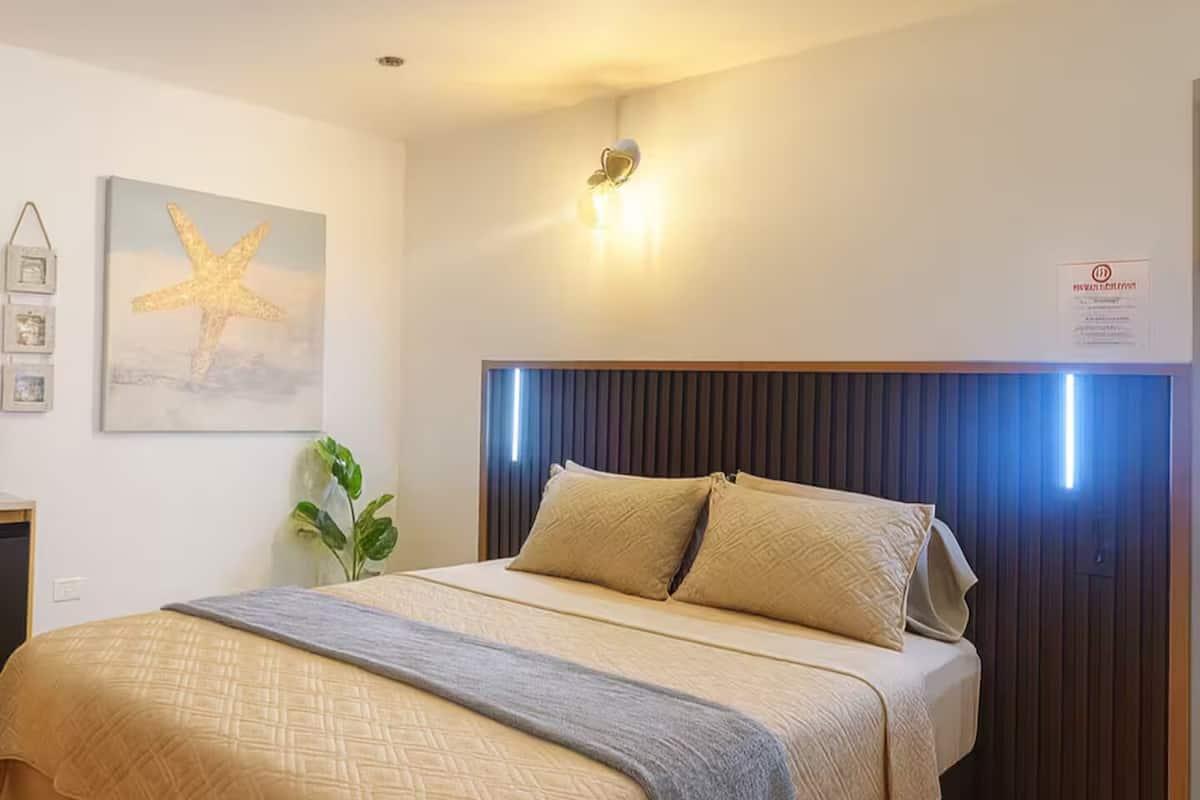 Estudio Confort | Wifi gratis