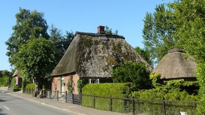 Ett traditionellt hus med halmtak och en fasad av tegel, omgivet av frodig grönska och en klarblå himmel.