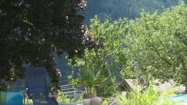 Uma área de pátio com uma cadeira, plantas em vasos e vista para um lago.