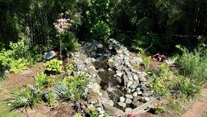 Un jardín con una pequeña cascada, diversas plantas y un sendero de ladrillo.