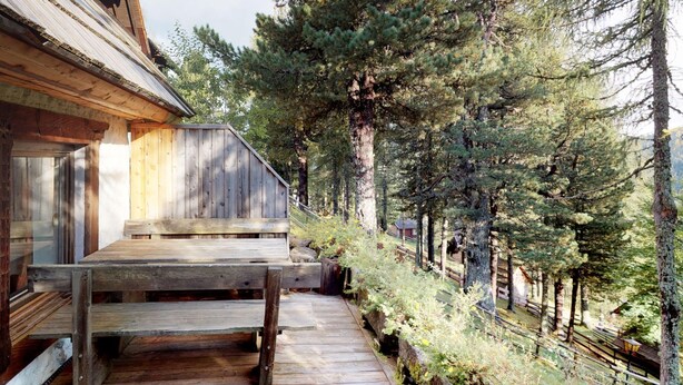 Um deck de madeira leva a uma cabana com telhado inclinado, cercada por altas árvores de pinheiro.