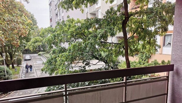A balcony with a metal railing overlooking a residential street with trees and a parked car. - Graz Green Studio by Interhome (Graz)