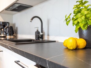 Eine moderne Küche mit schwarzer Arbeitsplatte, einem schwarzen Wasserhahn und einem Blumentopf mit grünen Blättern.