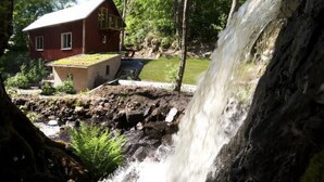 Un chalet rustique avec une petite cascade devant, entouré d’une végétation luxuriante.