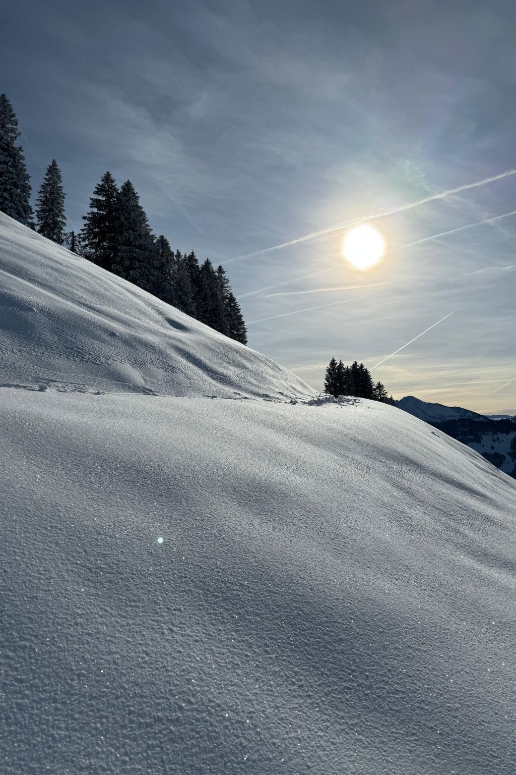 Une pente enneigée, sous un ciel dégagé, baignée par le soleil.