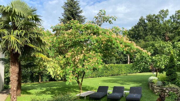 A well-maintained garden with a lawn, a tree with pink flowers, and a dog. - mit Terrasse by Interhome (Opatija/Rukavac)
