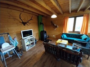 Televisión, chimenea y reproductor de DVD 