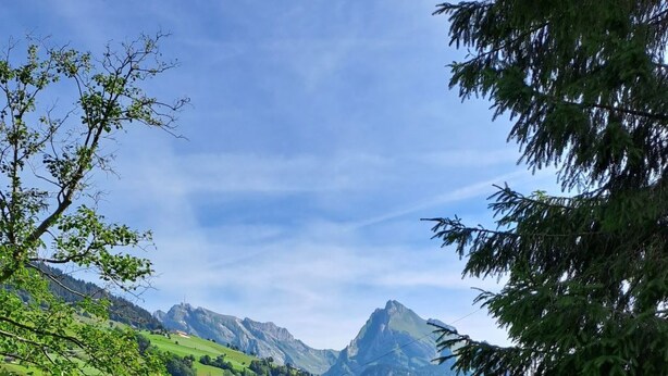 A rural landscape with green fields, a wooden fence, and houses in the valley. - Apartment Bijou by Interhome (Alt St. Johann)