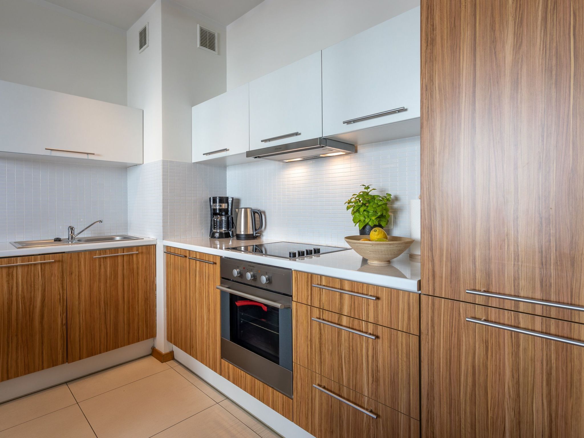 Fridge, oven, dishwasher, cookware/dishes/utensils