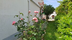 Um jardim com rosas cor-de-rosa e folhagem verde ao longo de um edifício branco.