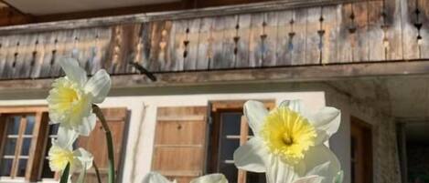 DĂ©tail de lâextĂ©rieur