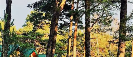 المنشأة من الخارج