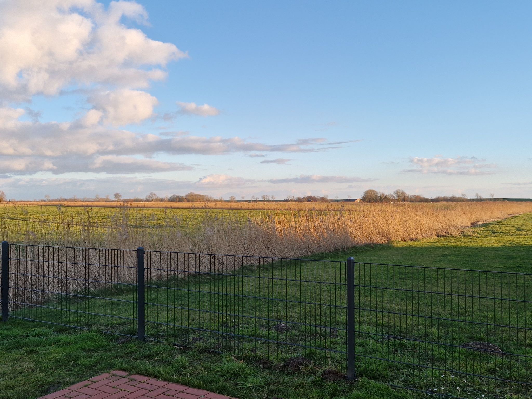 A fenced field with a grassy area and a clear sky.