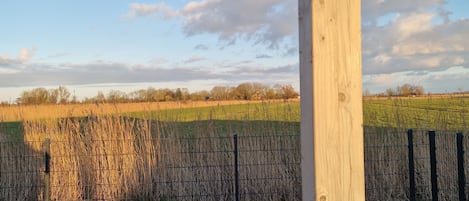 Overnatningsstedets område