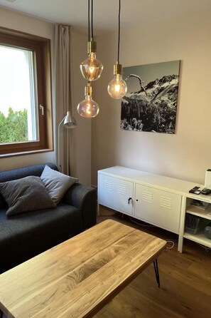 Télévision, cheminée, lecteur de DVD