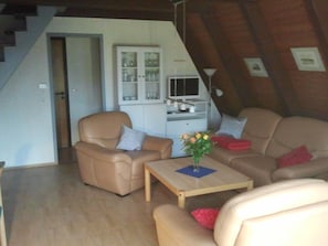 Fernseher
