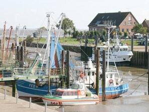 Un puerto deportivo con varias embarcaciones amarradas, incluyendo un barco azul y blanco con 'FED' y un barco naranja y blanco más pequeño con 'SAR'.