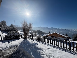 Property grounds - Chalet Friedheim by Interhome (Beatenberg)