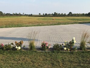 Property grounds - G13 Ferienhaus mit Garten und Fahrradschuppen by Interhome (Burhave)