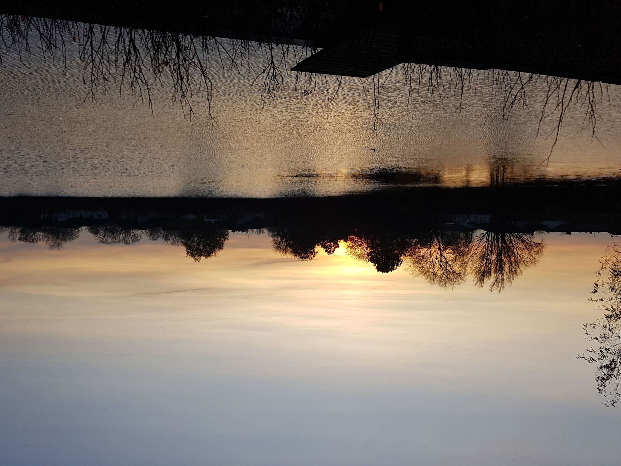 Água calma refletindo árvores e um pôr do sol.