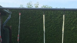 Two swings with safety harnesses, set against a green hedge and a brick wall.